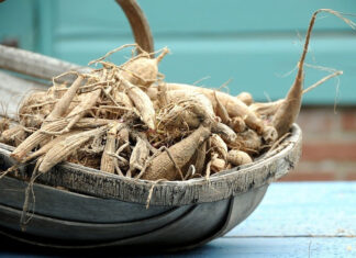 Produkty roślinne coraz częstszą alternatywą na odchudzanie Produkty roślinne coraz częstszą alternatywą na odchudzanie