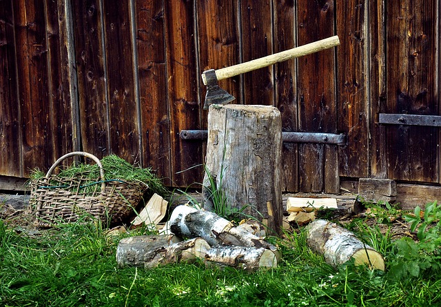 Na zdjęciu siekiera uniwersalna wbita w kołek do rąbania drewna, poniżej leżą porąbane szczapy.