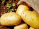 Czyste, młode ziemniaki w worku jutowym leżące na ziemi, ilustrują artykuł o typach kulinarnych ziemniaków