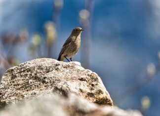 Jak pozbyć się pleśni w samochodzie?