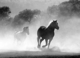 Jak nauczyć się palić e-papierosa? Jak nauczyć się palić e-papierosa?