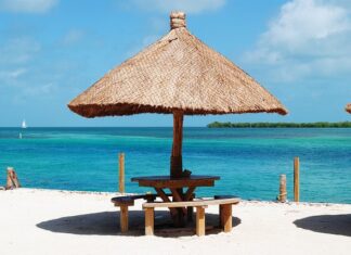 Co to jest uszczelniacz półosi?