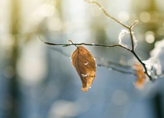 Jak opuszczać podnośnik?