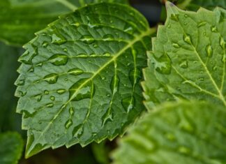 Jak zapobiec wilgoci w samochodzie?