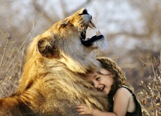 Co jest lepsze IQOS czy e-papieros? Co jest lepsze IQOS czy e-papieros?