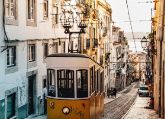 Jakie uprawnienia na wózki nożycowe?