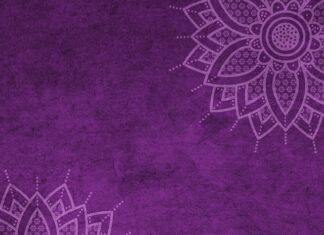 Jaki mandat za brak tablicy rejestracyjnej w motocyklu? Jaki mandat za brak tablicy rejestracyjnej w motocyklu?