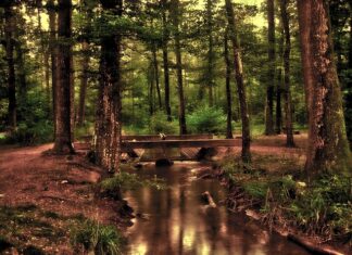 Czy 8 latek może jeździć na przednim siedzeniu? Czy 8 latek może jeździć na przednim siedzeniu?