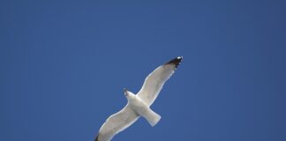 Co zrobić zamiast podbitki?