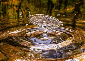 Czy 13 latek może kupić liquid 0?