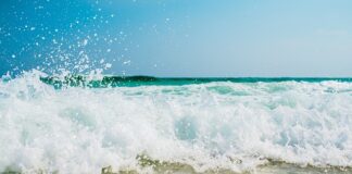 Czy można kłaść gładź na mokry grunt?