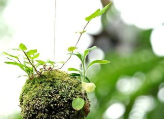 Co sprzyja wzrostowi? Co sprzyja wzrostowi?