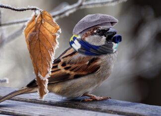 Czym szybko ogrzać łazienkę?