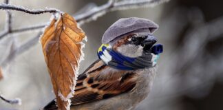 Czym ogrzać pomieszczenie 20m2?