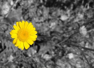 Czy 18 mg nikotyny to dużo?