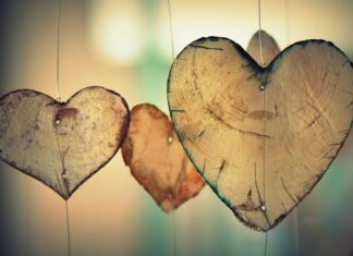 Czy brązowy ryż wyciąga wilgoć?