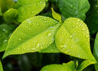 Jak usunąć wilgoć z posadzki?