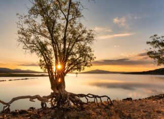 Gdzie znajduje się zbiornik płynu hamulcowego?