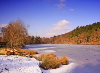 Jak zapobiec zamarzaniu AdBlue?