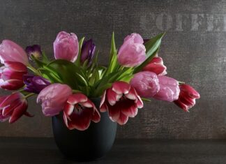 Co należy wymienić przy wymianie sprężyn? Co należy wymienić przy wymianie sprężyn?