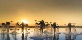 Co zrobić żeby sól nie była mokra?