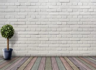 Co zamiast ziemi do doniczki? Co zamiast ziemi do doniczki?