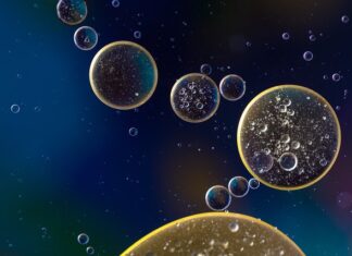 Ile wchodzi oleju hydraulicznego do t 25?