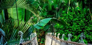 Ile trwa kurs na zwyżki?