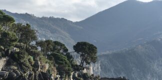 Ile kosztuje jedno żeberko do grzejnika?