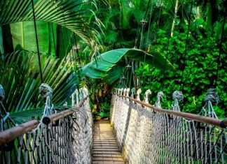 Ile kosztuje kurs na podnośniki?